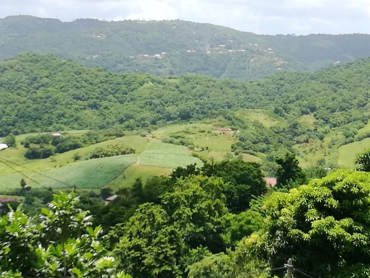 Appartement Charmant A Riviere Pilote Avec Vue Sur Montagnes 42M² Διαμέρισμα
