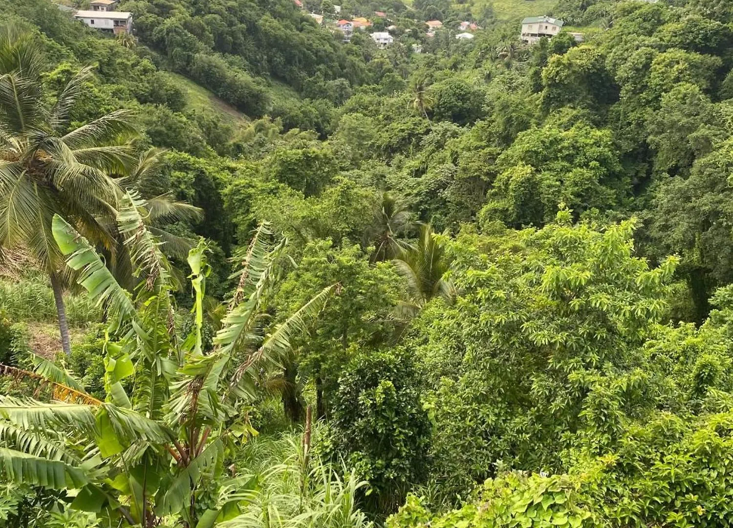 Διαμέρισμα Appartement Charmant A Riviere Pilote Avec Vue Sur Montagnes 42M² Μαρτινίκα